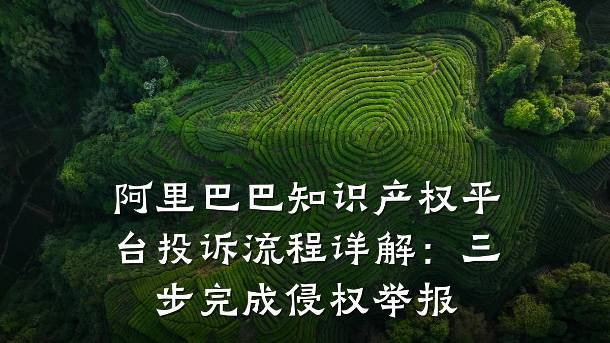 阿里巴巴知识产权平台投诉流程详解：三步完成侵权举报