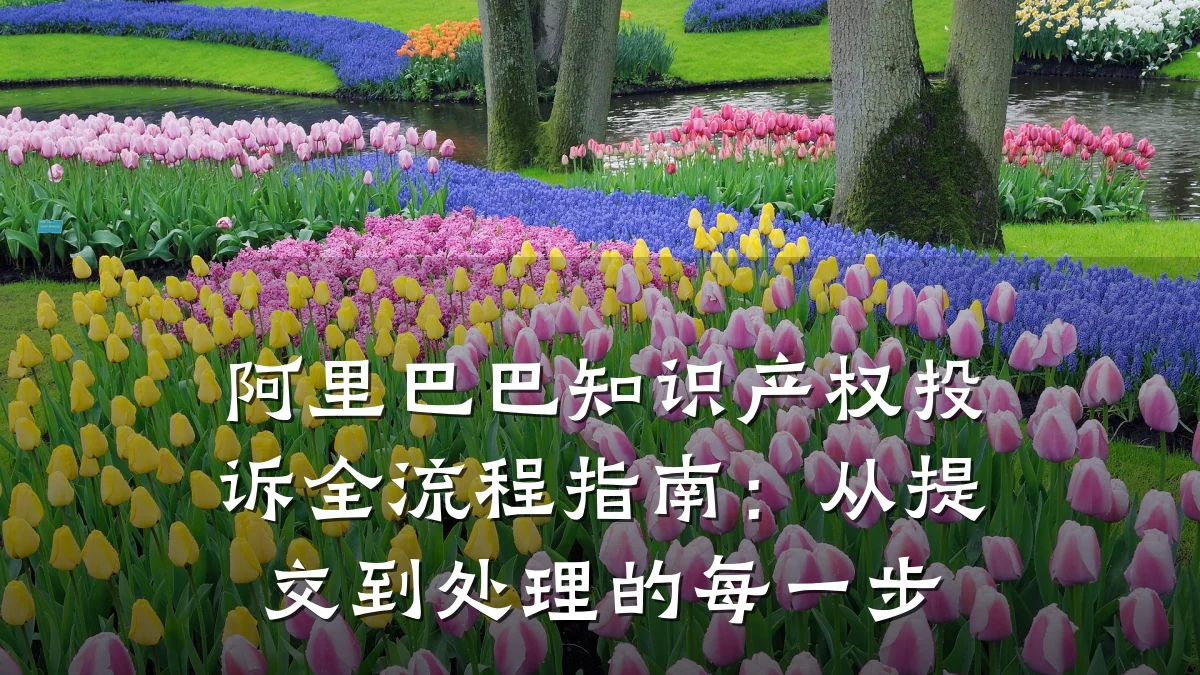 阿里巴巴知识产权投诉全流程指南：从提交到处理的每一步