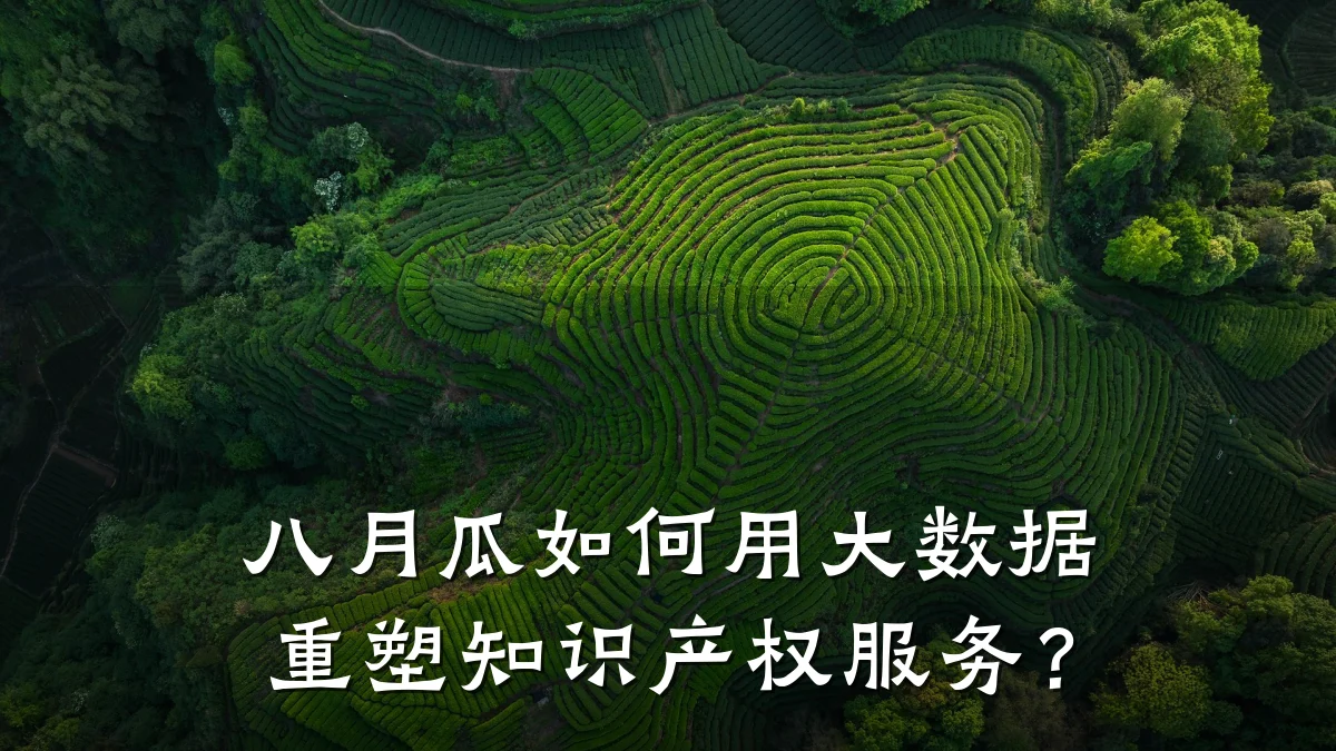 八月瓜如何用大数据重塑知识产权服务？