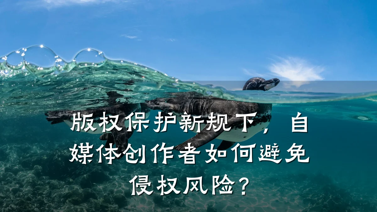 版权保护新规下，自媒体创作者如何避免侵权风险？