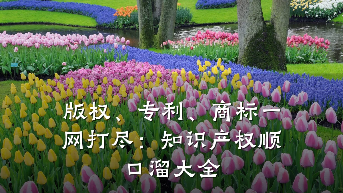 版权、专利、商标一网打尽：知识产权顺口溜大全