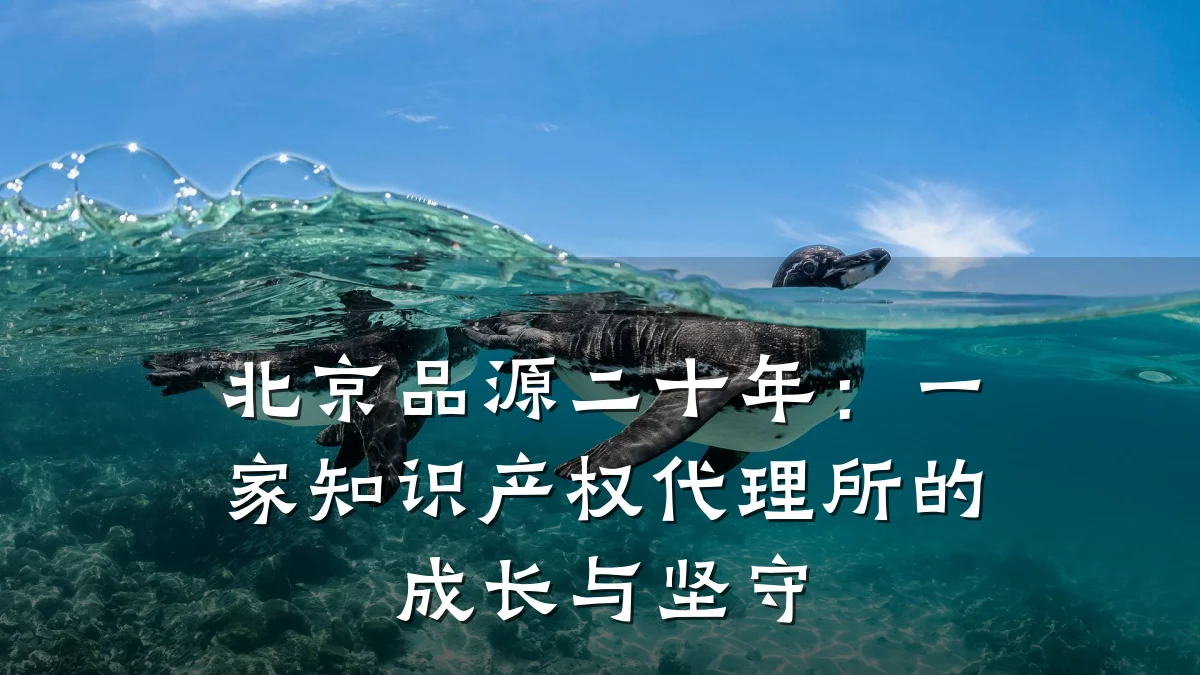 北京品源二十年:一家知识产权代理所的成长与坚守