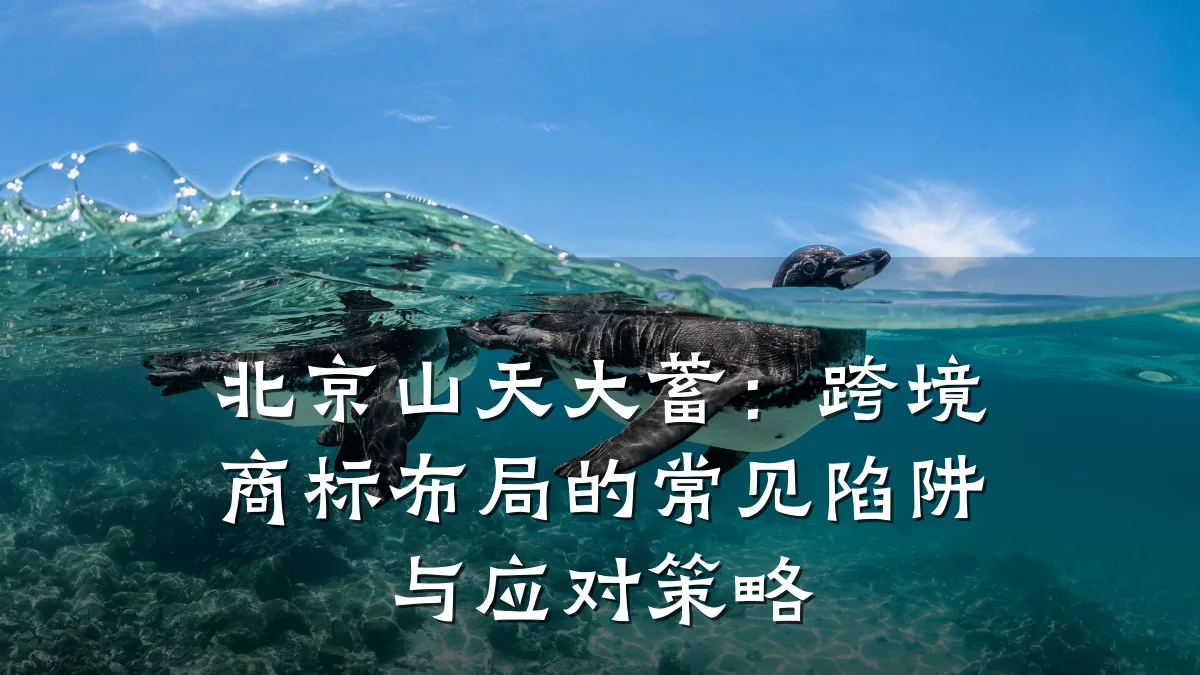 北京山天大蓄：跨境商标布局的常见陷阱与应对策略