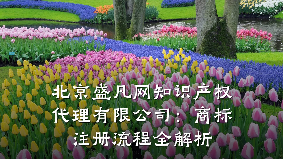 北京盛凡网知识产权代理有限公司：商标注册流程全解析