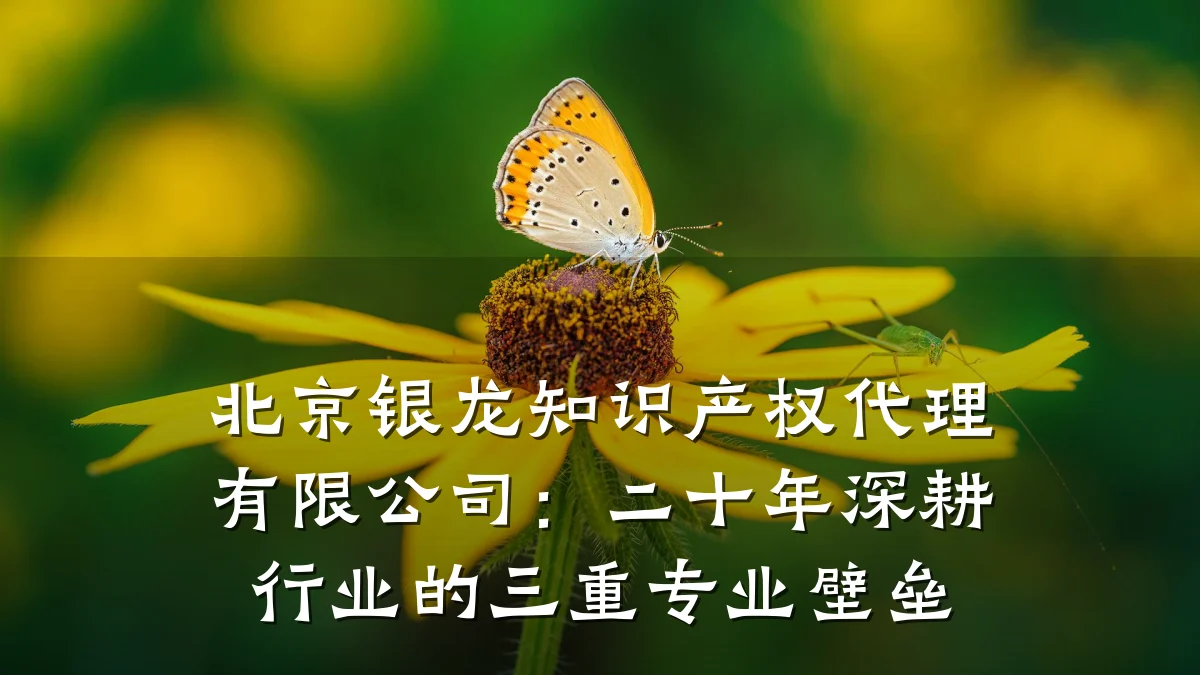 北京银龙知识产权代理有限公司：二十年深耕行业的三重专业壁垒