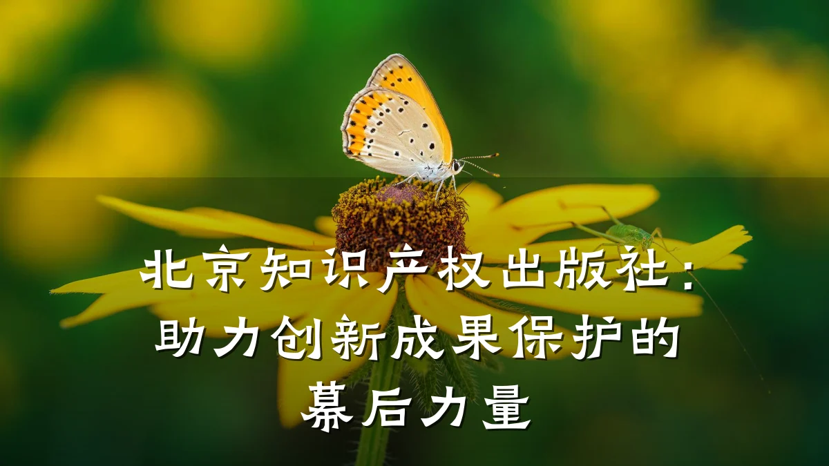 北京知识产权出版社：助力创新成果保护的幕后力量