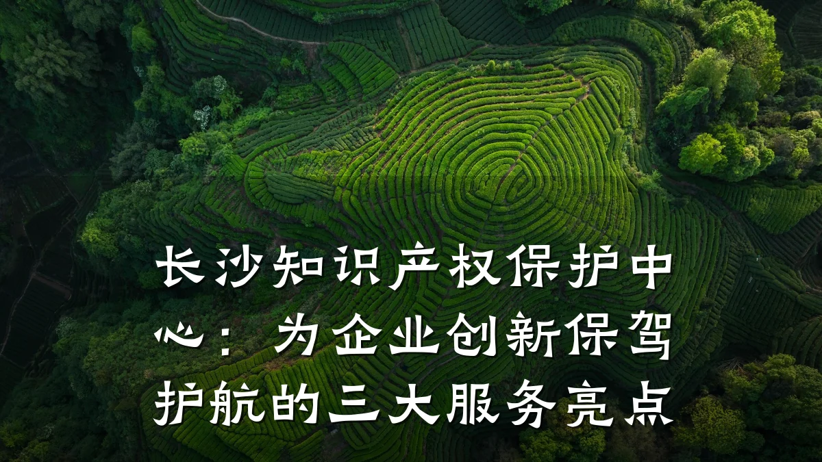 长沙知识产权保护中心：为企业创新保驾护航的三大服务亮点