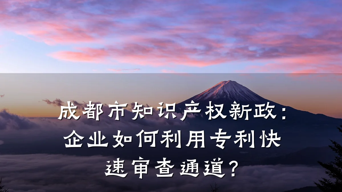 成都市知识产权新政：企业如何利用专利快速审查通道？