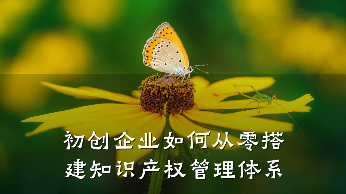 初创企业如何从零搭建知识产权管理体系