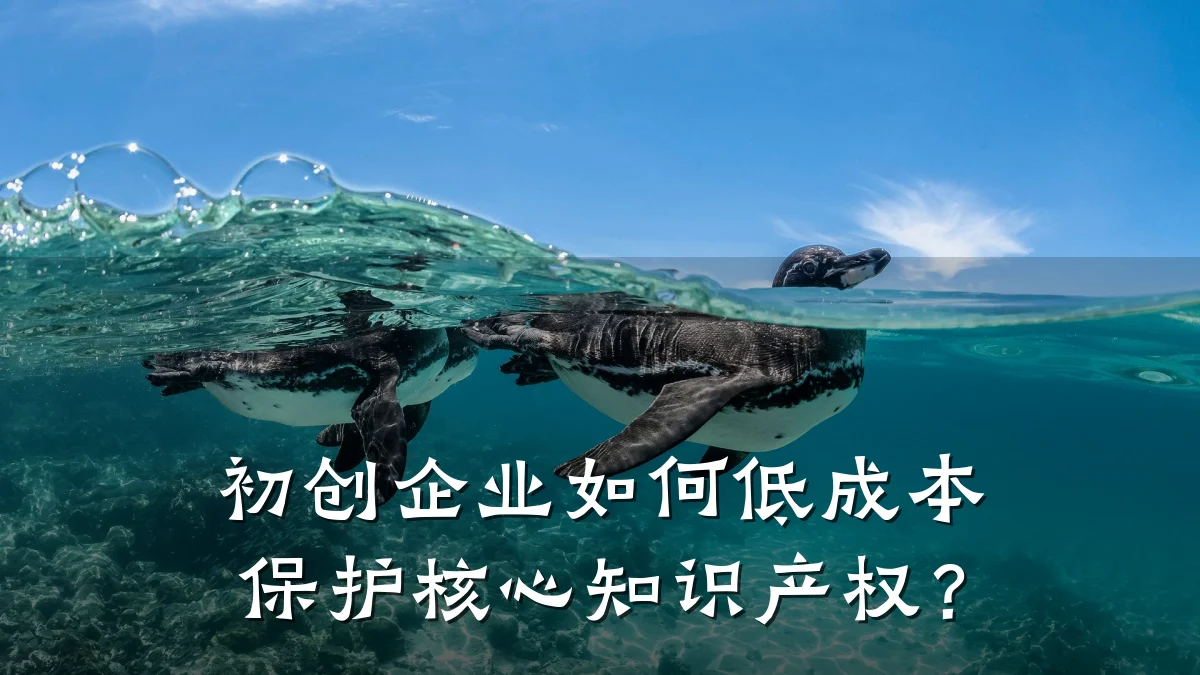 初创企业如何低成本保护核心知识产权?