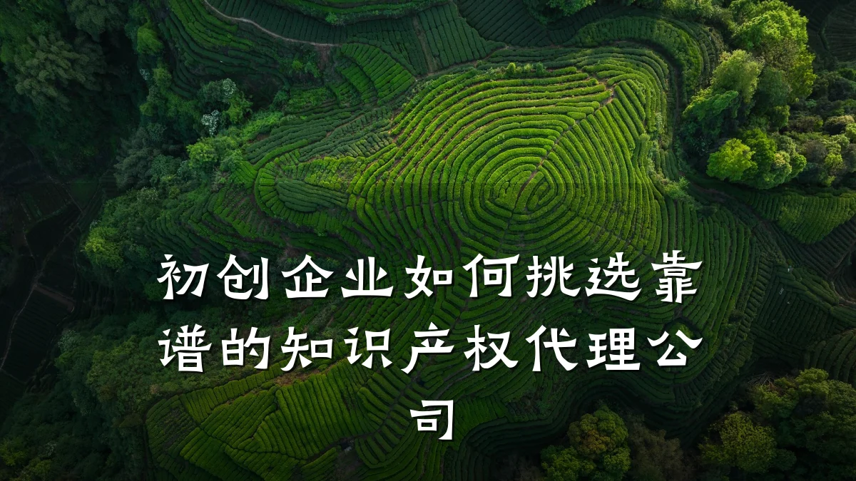 初创企业如何挑选靠谱的知识产权代理公司