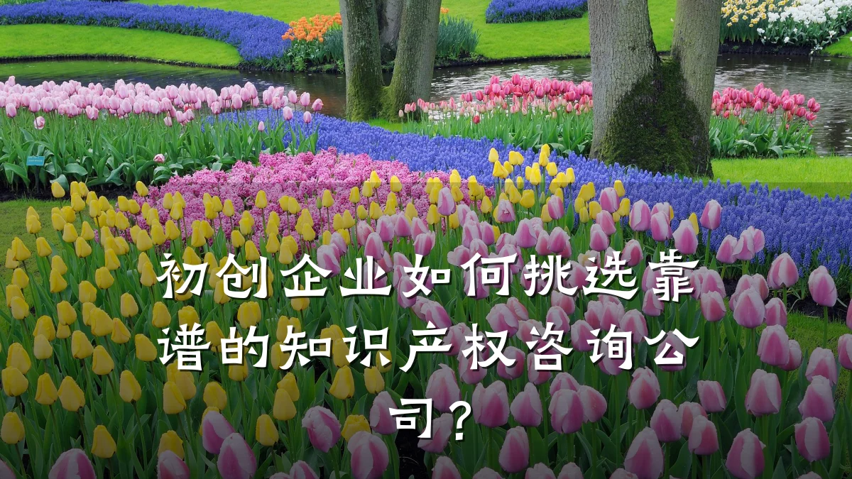 初创企业如何挑选靠谱的知识产权咨询公司？