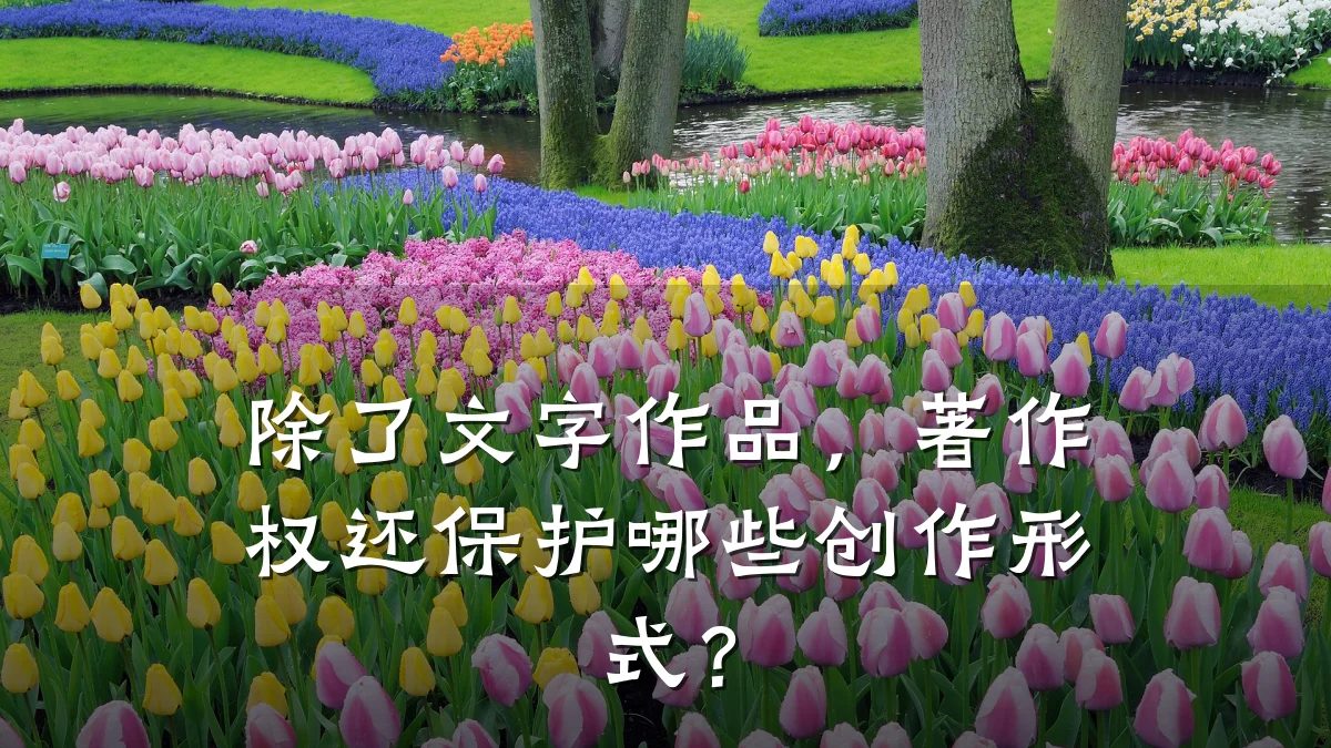 除了文字作品，著作权还保护哪些创作形式？