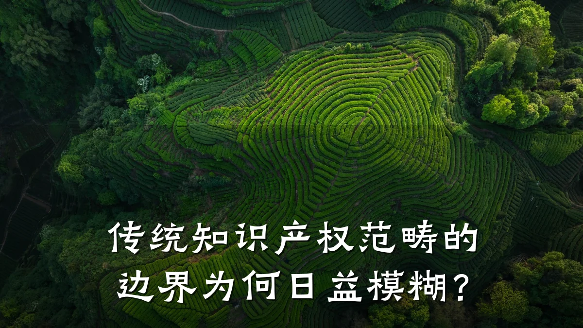 传统知识产权范畴的边界为何日益模糊？