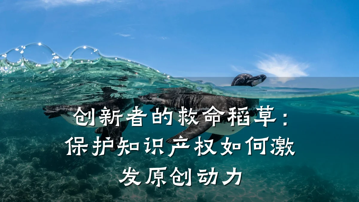 创新者的救命稻草：保护知识产权如何激发原创动力