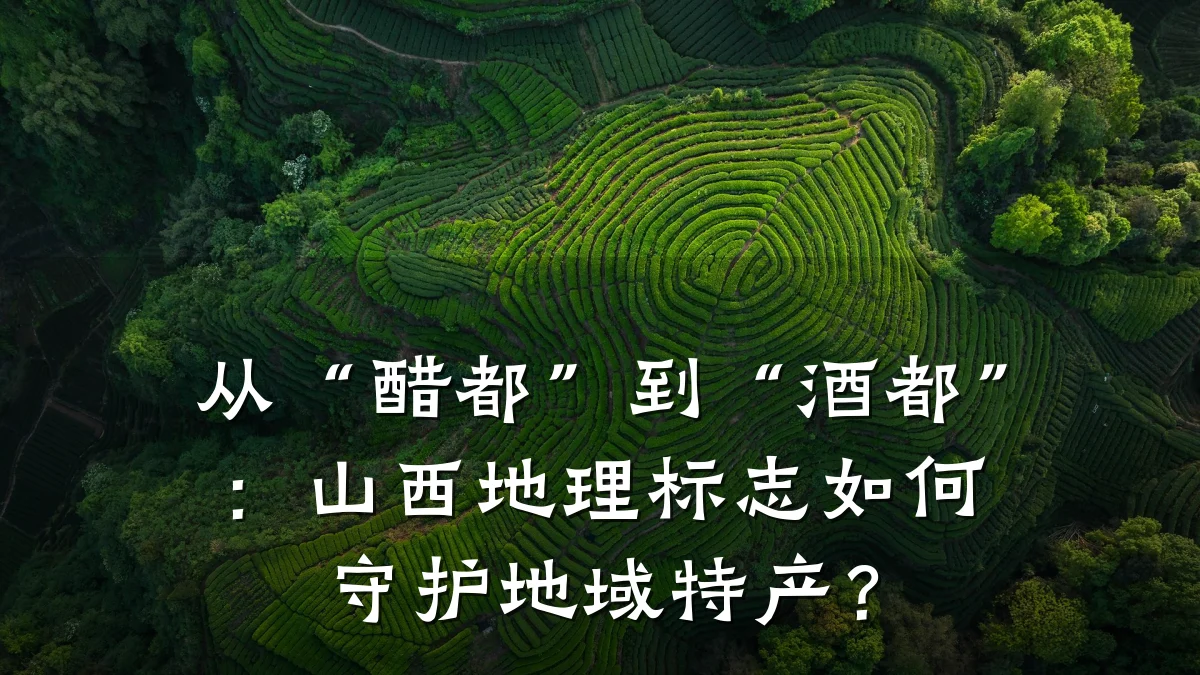 从“醋都”到“酒都”：山西地理标志如何守护地域特产？