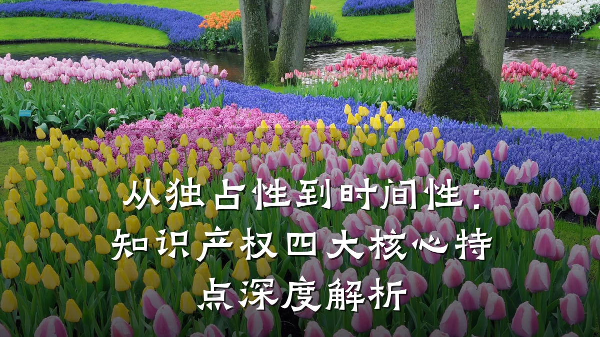 从独占性到时间性：知识产权四大核心特点深度解析