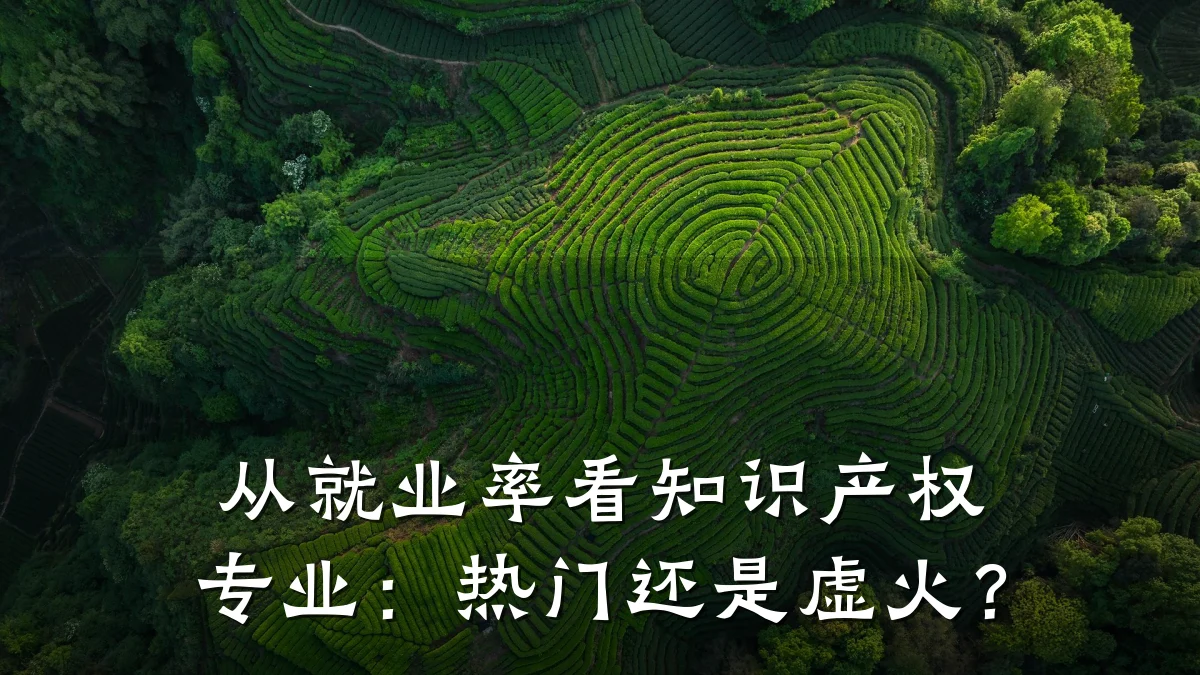 从就业率看知识产权专业：热门还是虚火？