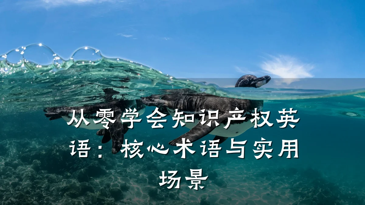 从零学会知识产权英语：核心术语与实用场景