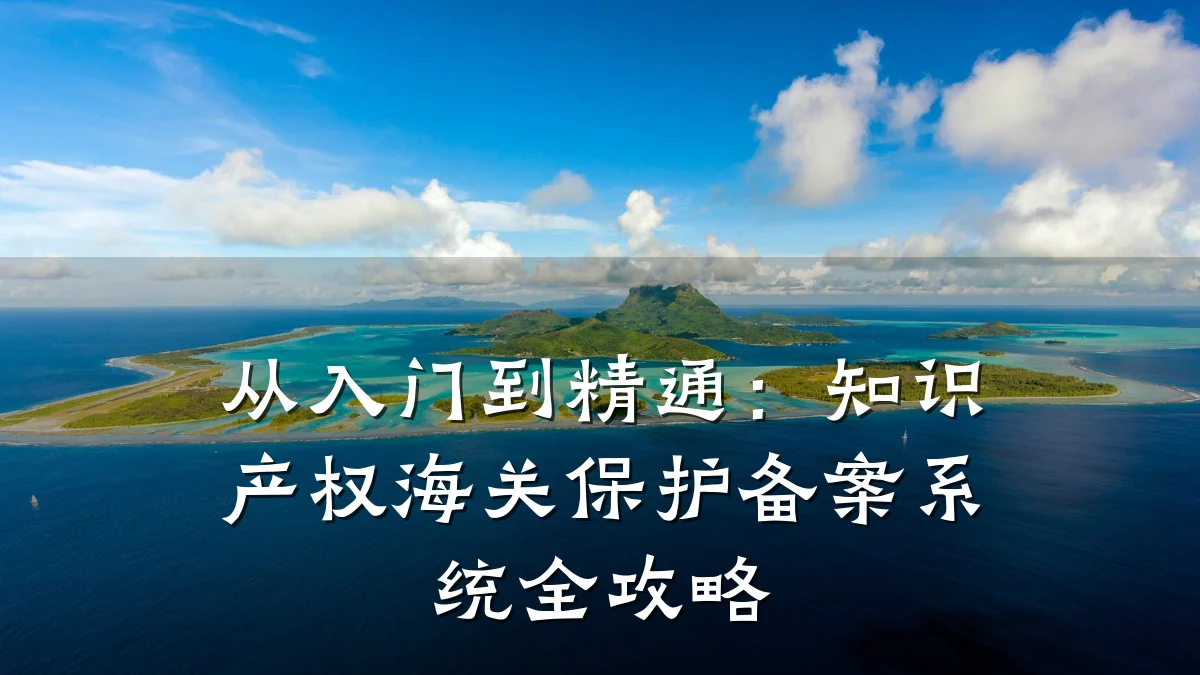 从入门到精通：知识产权海关保护备案系统全攻略