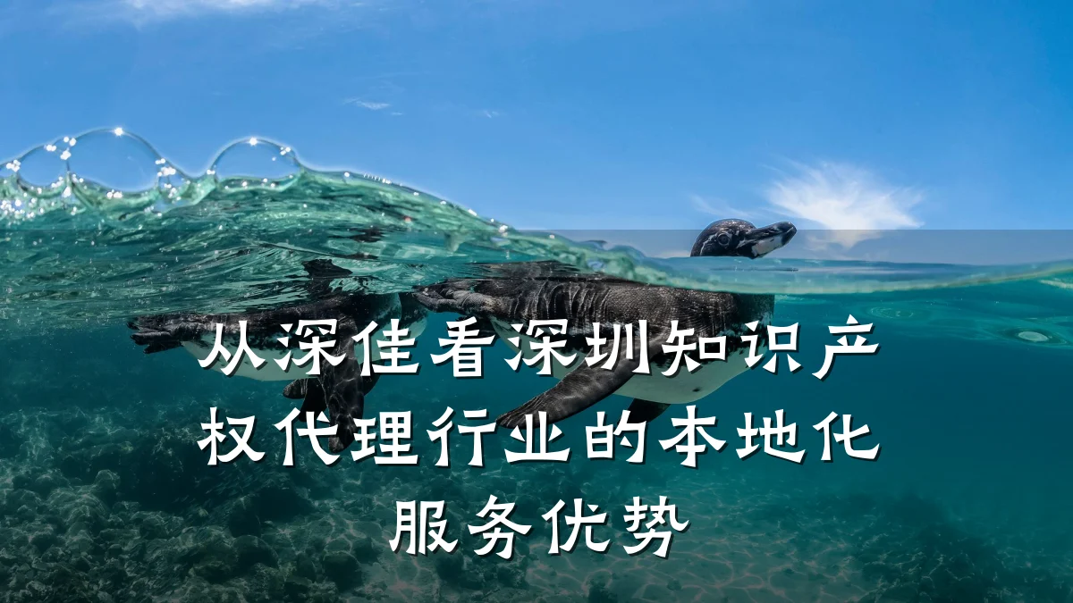 从深佳看深圳知识产权代理行业的本地化服务优势