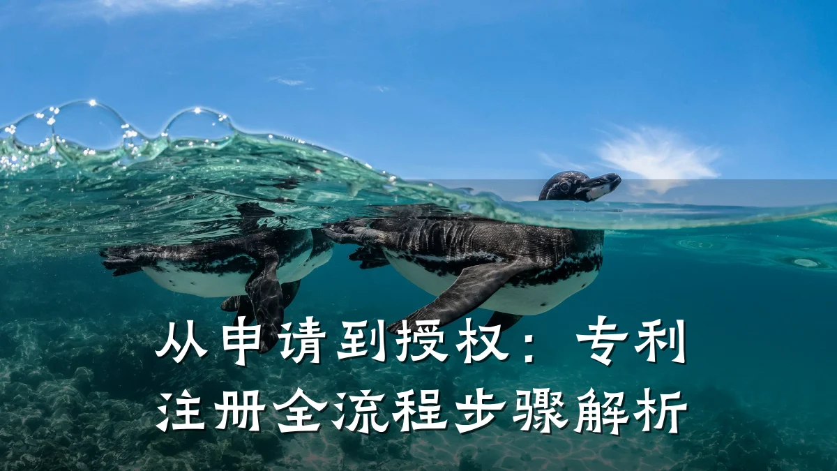 从申请到授权：专利注册全流程步骤解析