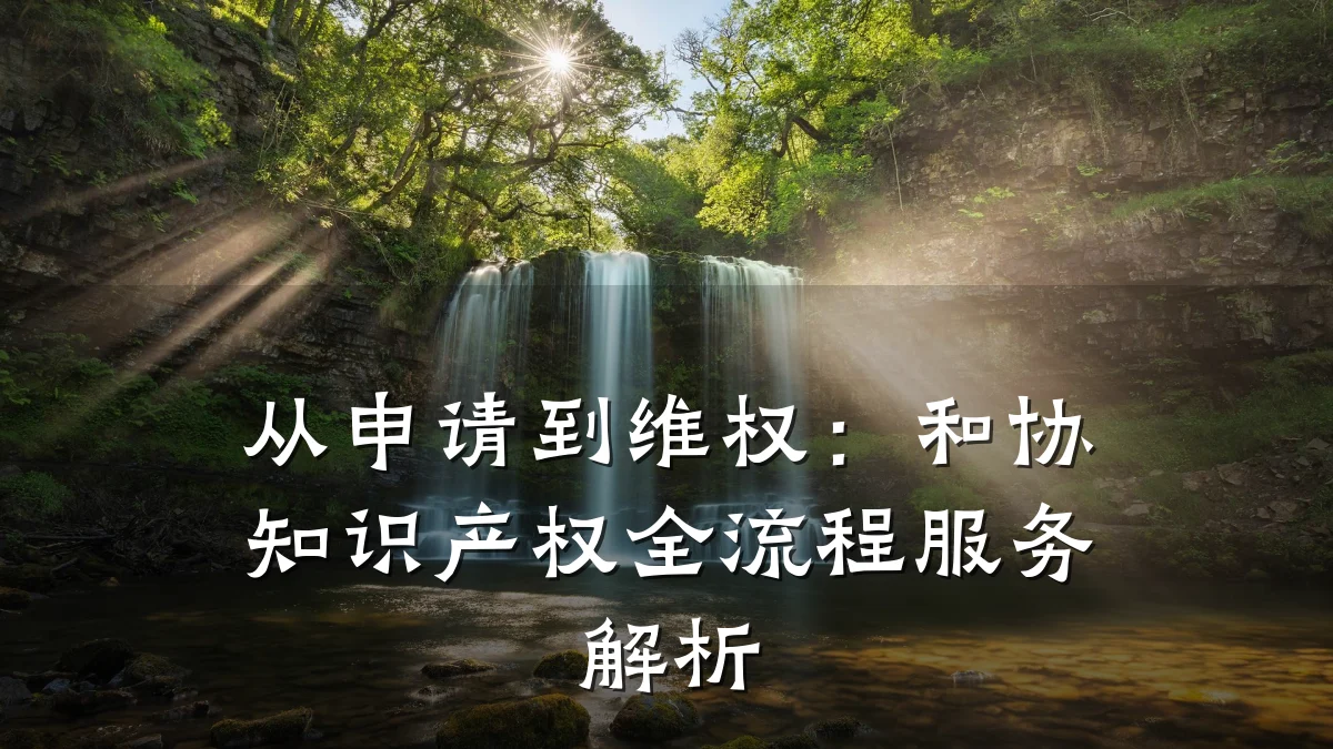 从申请到维权:和协知识产权全流程服务解析