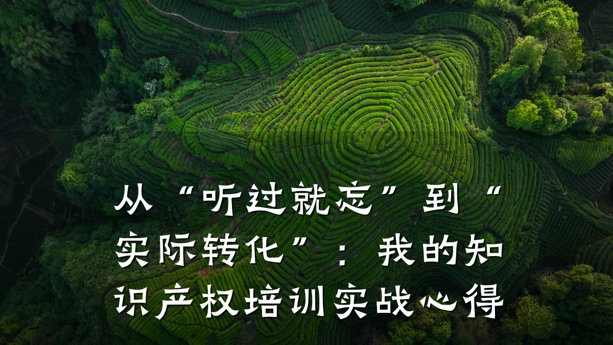 从“听过就忘”到“实际转化”：我的知识产权培训实战心得