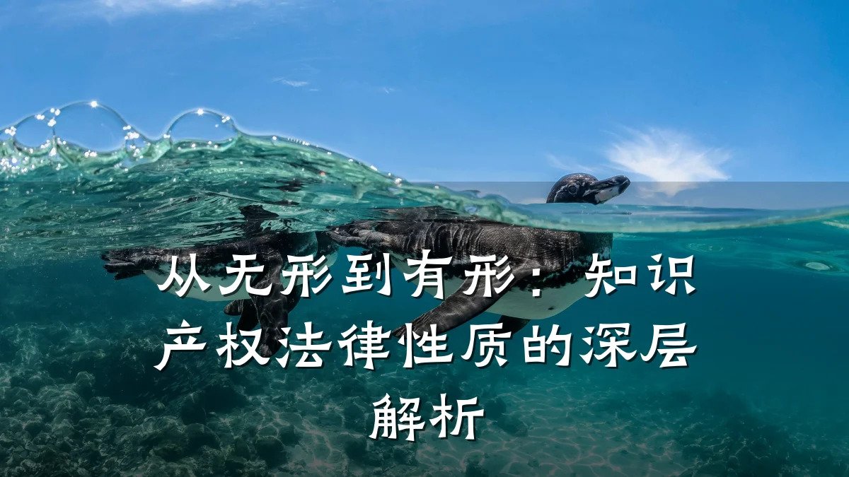 从无形到有形：知识产权法律性质的深层解析