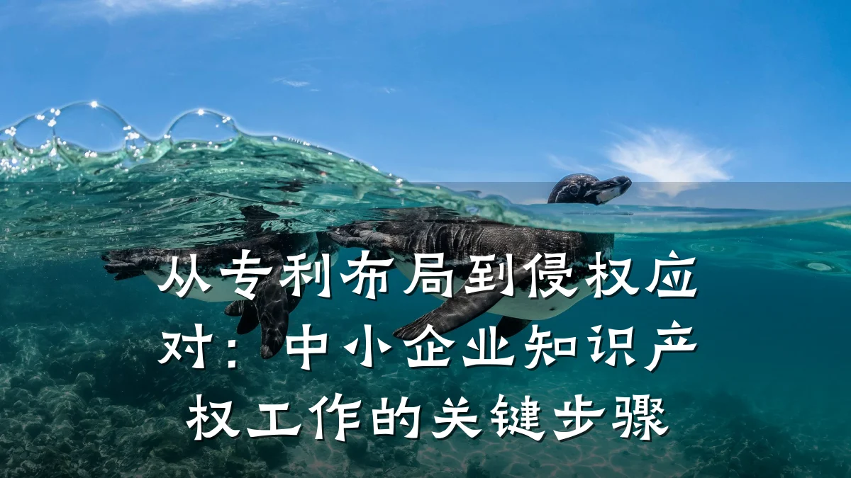 从专利布局到侵权应对：中小企业知识产权工作的关键步骤