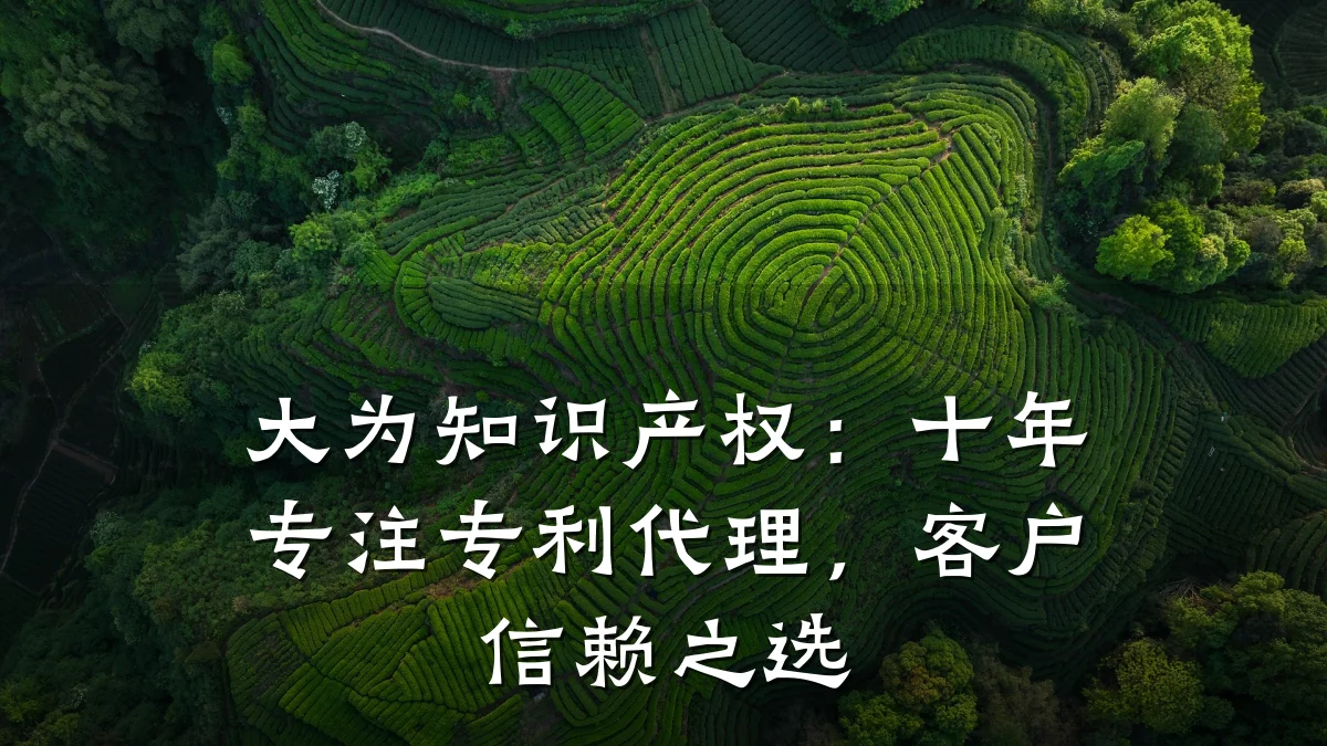 大为知识产权：十年专注专利代理，客户信赖之选