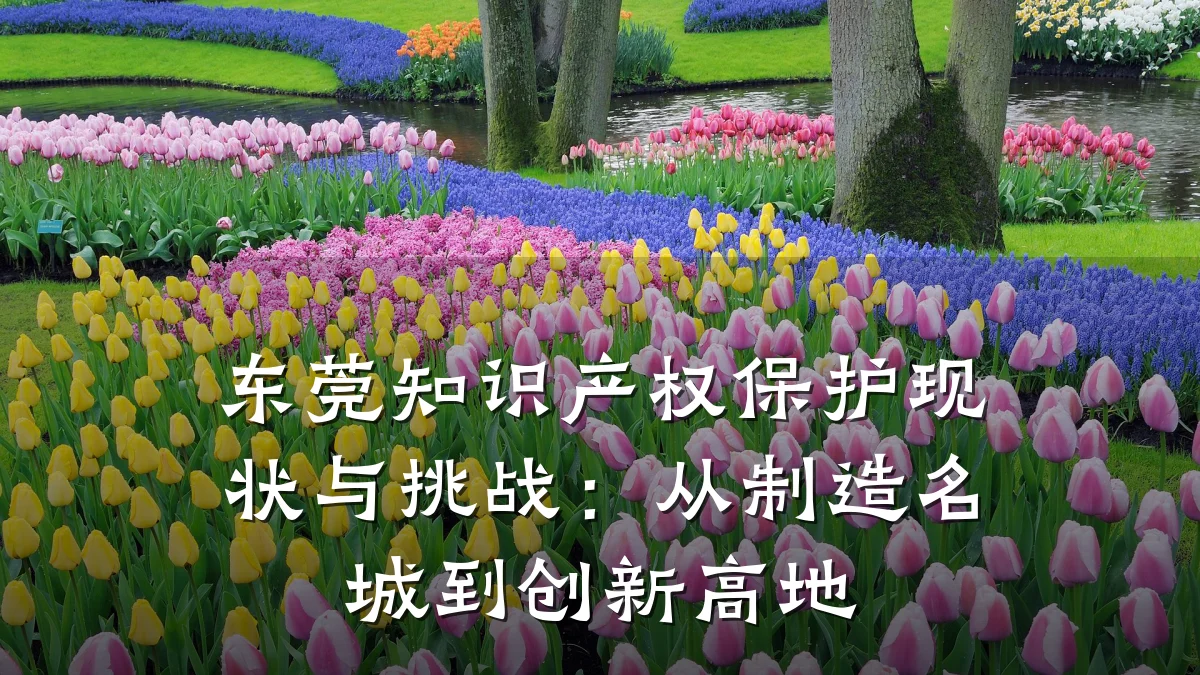 东莞知识产权保护现状与挑战：从制造名城到创新高地