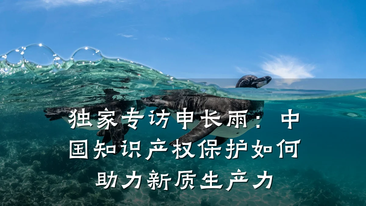 独家专访申长雨:中国知识产权保护如何助力新质生产力