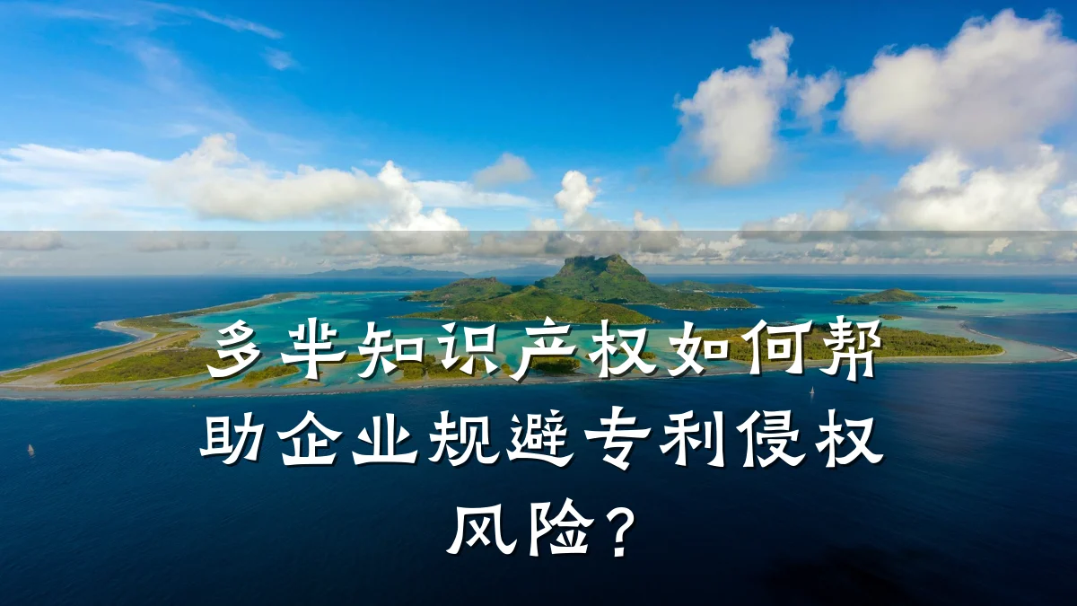多芈知识产权如何帮助企业规避专利侵权风险？