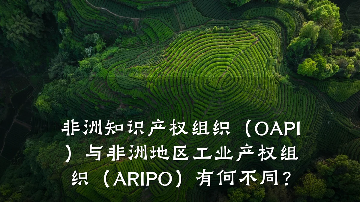 非洲知识产权组织(OAPI)与非洲地区工业产权组织(ARIPO)有何不同?