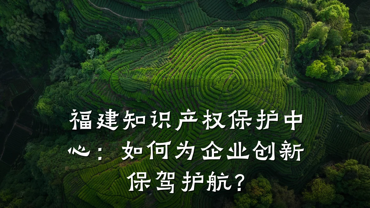 福建知识产权保护中心：如何为企业创新保驾护航？