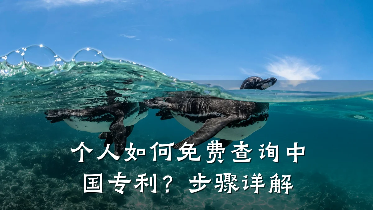 个人如何免费查询中国专利？步骤详解