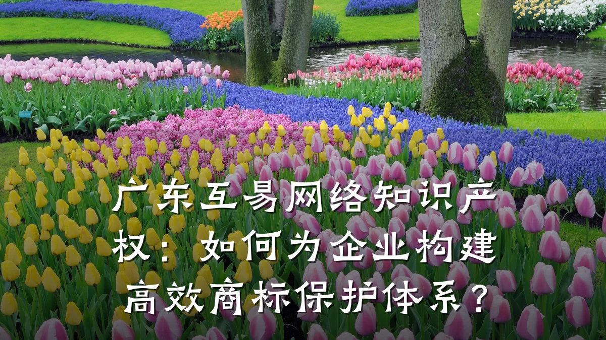 广东互易网络知识产权：如何为企业构建高效商标保护体系？