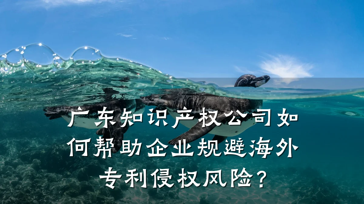 广东知识产权公司如何帮助企业规避海外专利侵权风险？