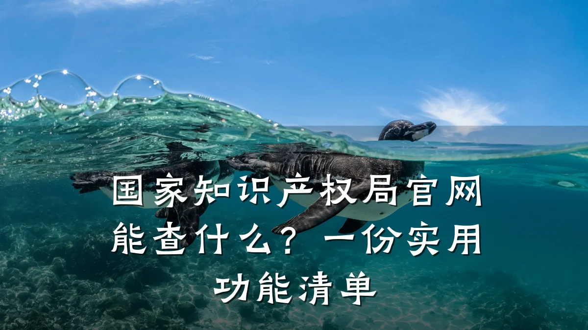 国家知识产权局官网能查什么?一份实用功能清单