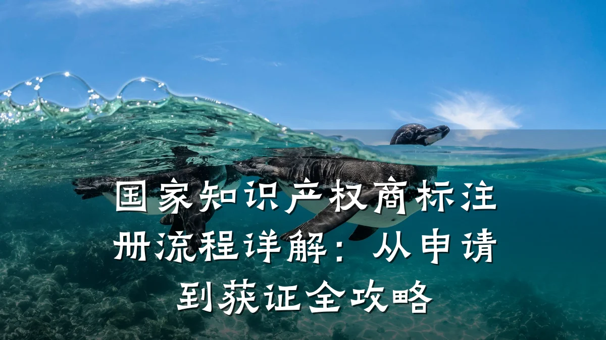 国家知识产权商标注册流程详解:从申请到获证全攻略
