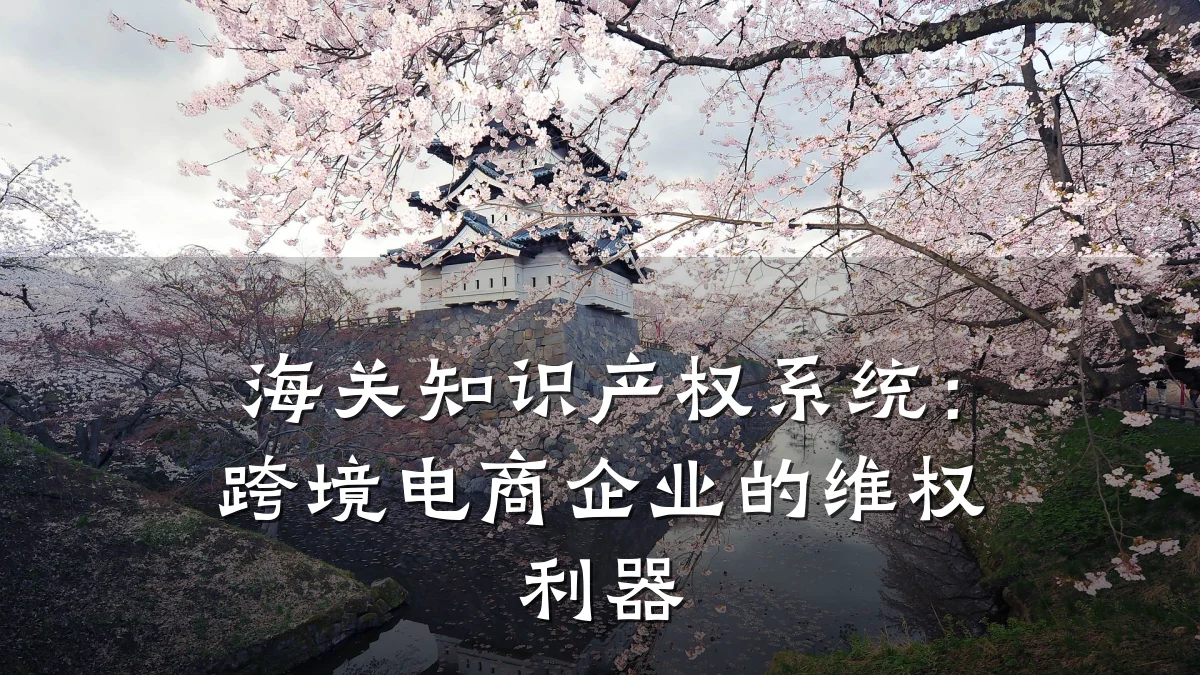 海关知识产权系统：跨境电商企业的维权利器