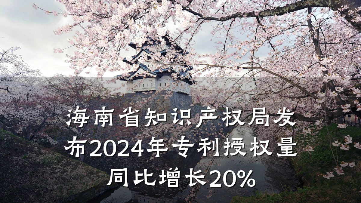 海南省知识产权局发布2024年专利授权量同比增长20%