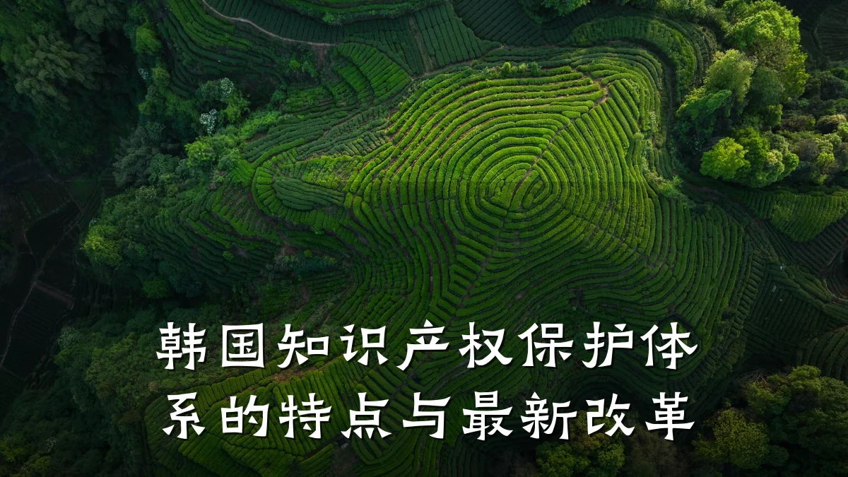 韩国知识产权保护体系的特点与最新改革