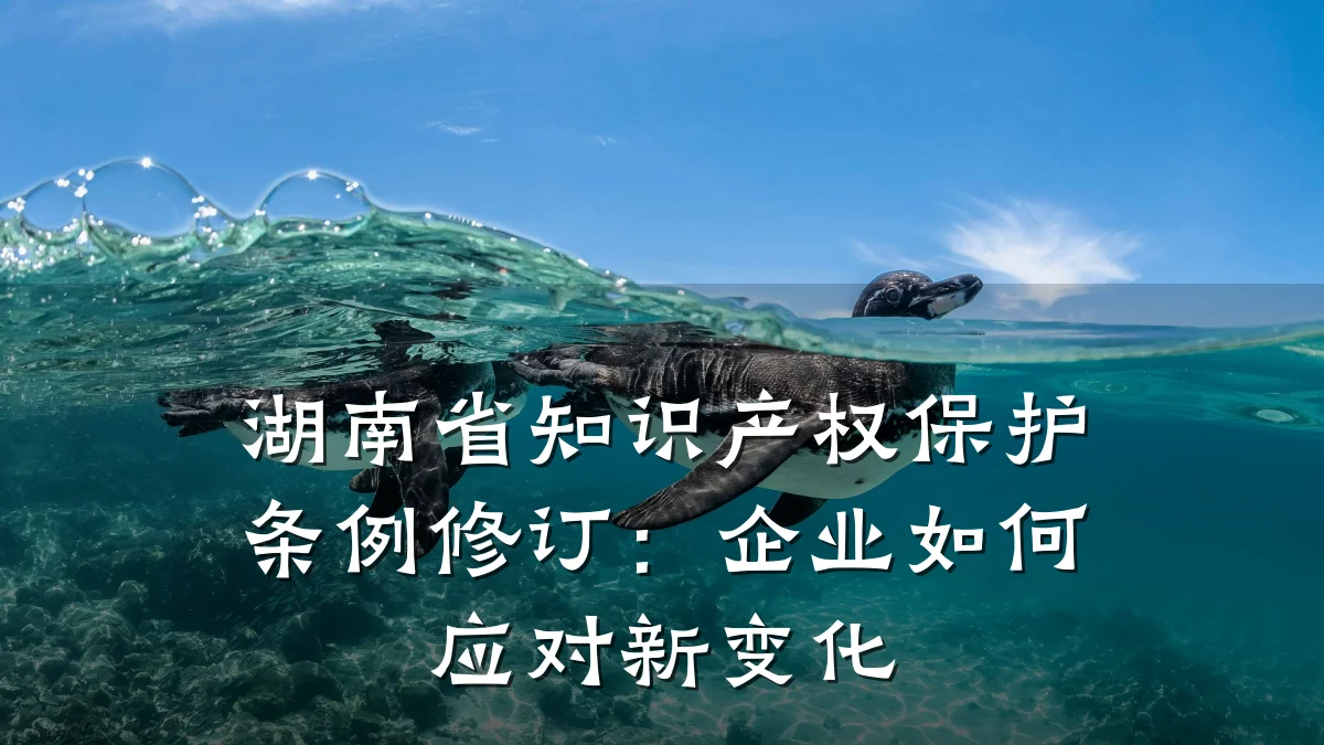 湖南省知识产权保护条例修订：企业如何应对新变化