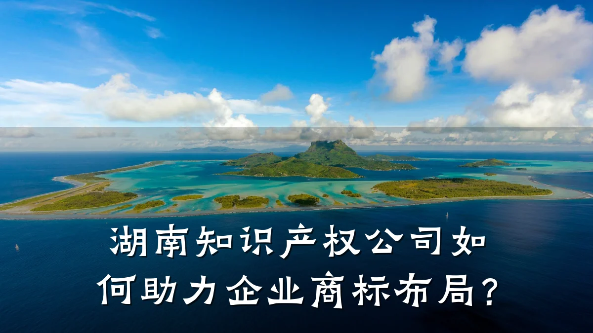 湖南知识产权公司如何助力企业商标布局？
