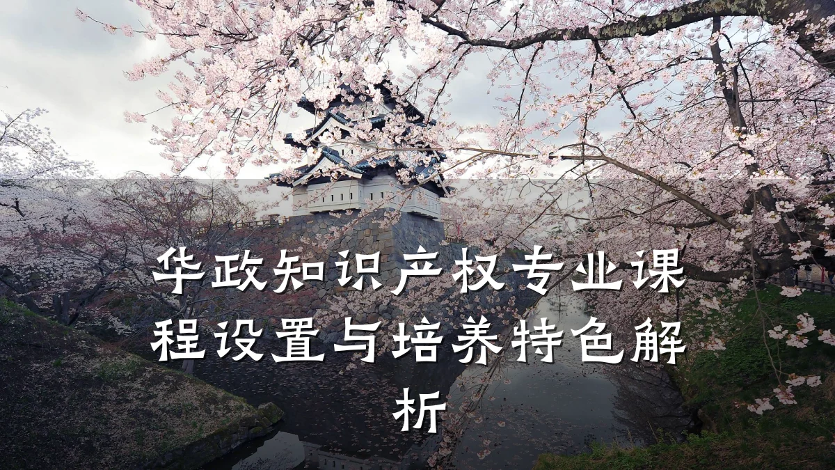 华政知识产权专业课程设置与培养特色解析