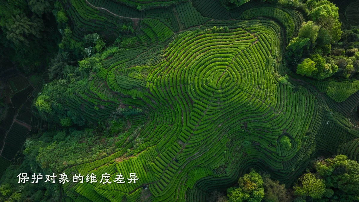 保护对象的维度差异