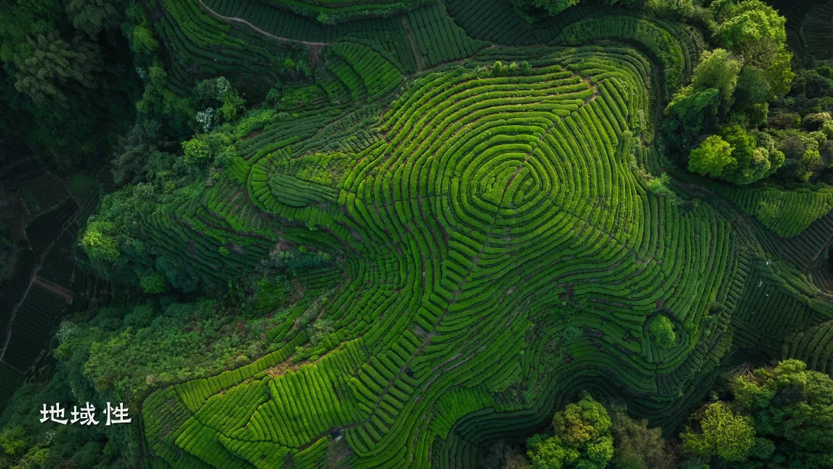 地域性