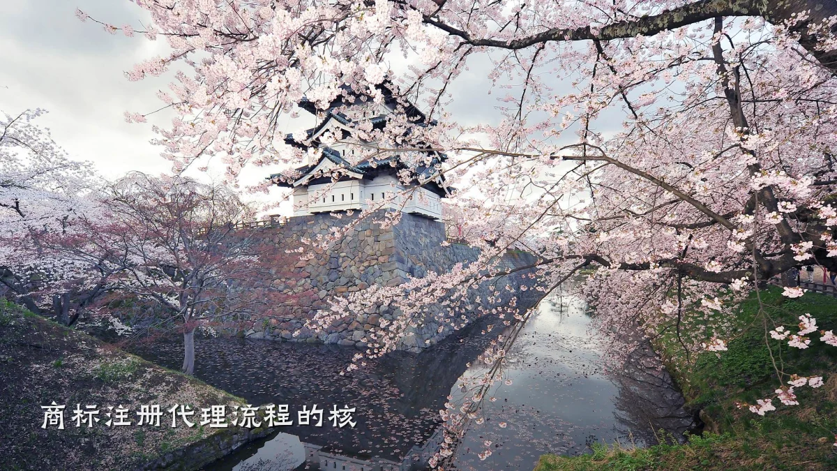 商标注册代理流程的核